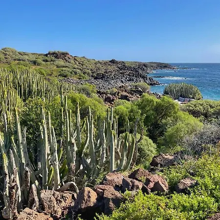 Semesterbostad Home2book El Encanto Centro Historico La Laguna (Tenerife)